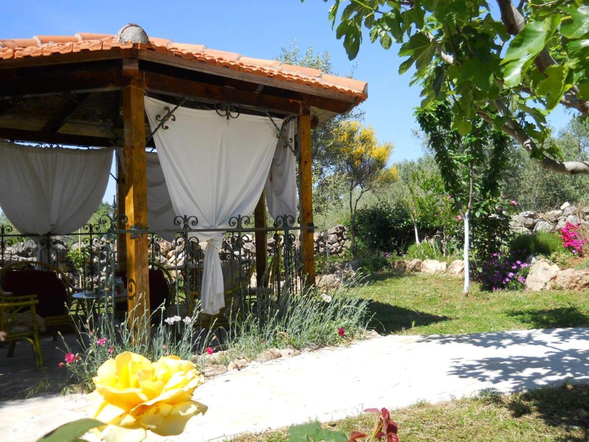 Apartments Branimir Zadar Extérieur photo