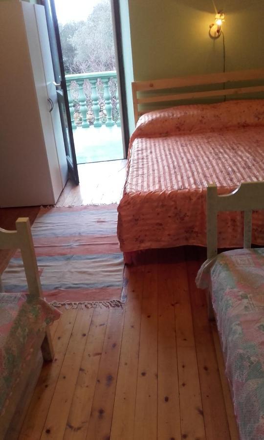 Apartments Branimir Zadar Extérieur photo