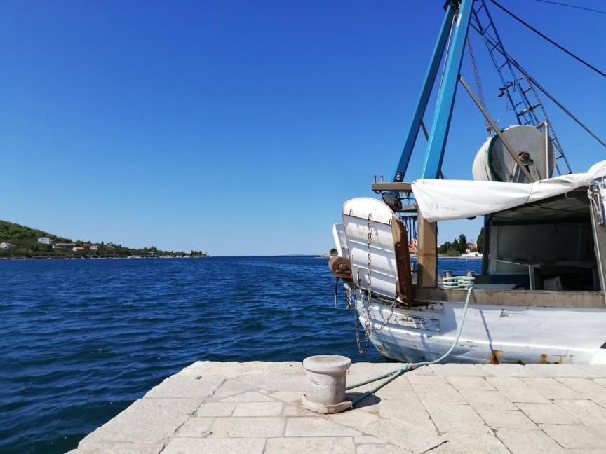 Apartments Branimir Zadar Extérieur photo
