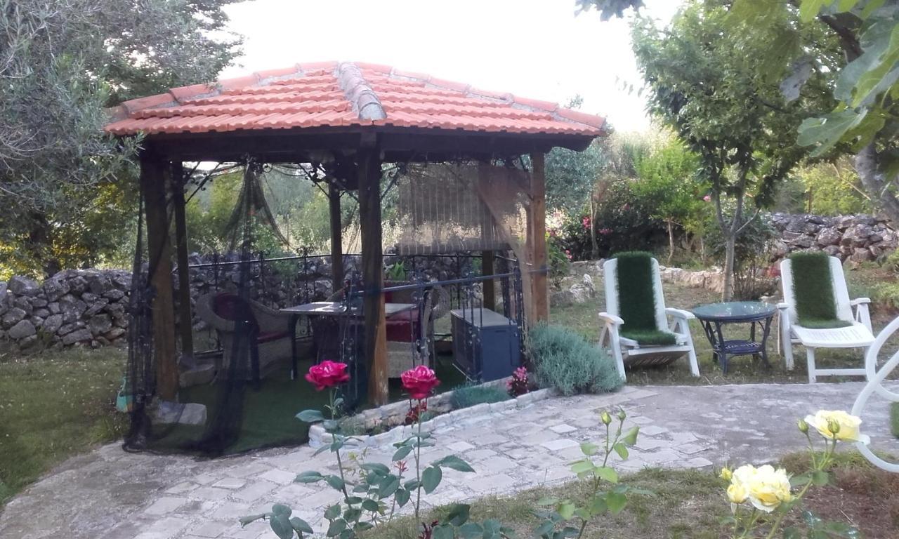 Apartments Branimir Zadar Extérieur photo