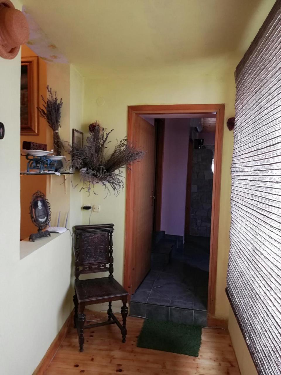 Apartments Branimir Zadar Extérieur photo